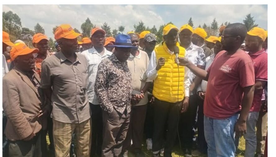 ODM candidate steps down for UDA in by-election, cites intimidation