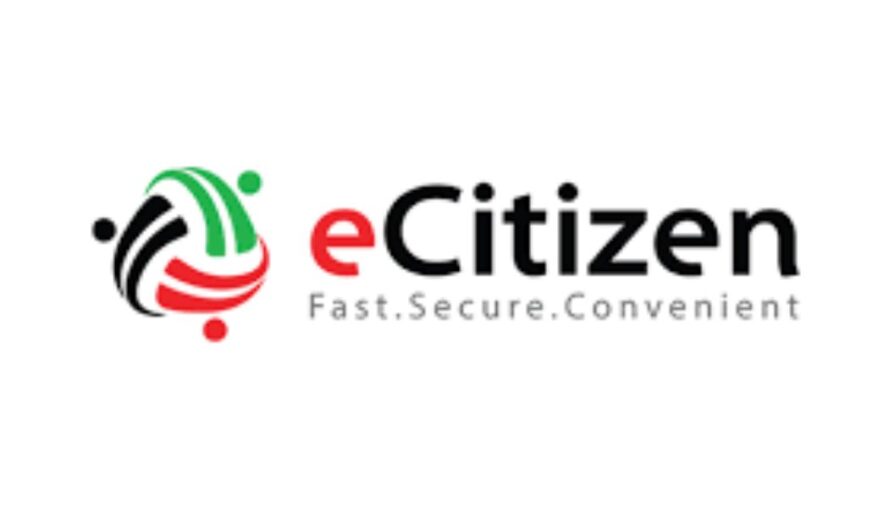 eCitizen collects up to Ksh1 billion a day, says gov’t spokesperson