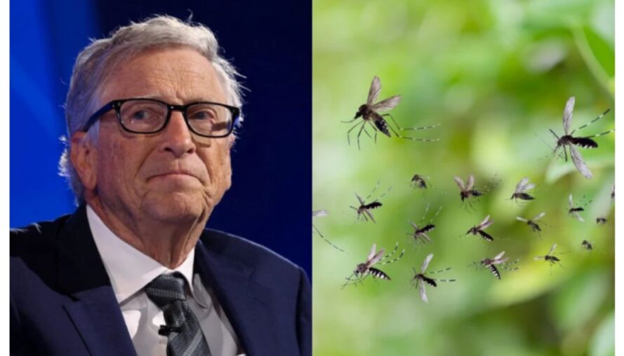 Gates Foundation addresses releasing modified mosquitoes in Nairobi